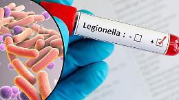 Cinque morti a Harlem per un focolaio di legionella collegato alle torri di raffreddamento della zona