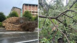 Maltempo nel Torinese, 30 mm di pioggia in mezz'ora. Strade allagate e alberi caduti