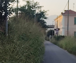 A Ivrea  serve un post su Facebook per tagliare l’erba
