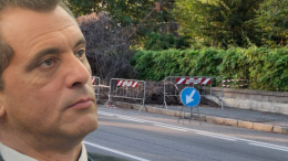 Settimo, cade un albero: i cittadini non capiscono, i politici "sì"