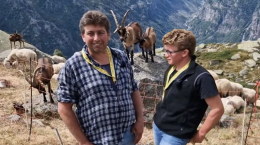 Convivere in alpeggio con il lupo: la sfida quotidiana di Daniele e Davide in Val Grande di Lanzo (VIDEO)