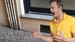 Guano di piccioni in centro a Ivrea. Cittadini esasperati (Reel)