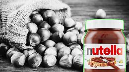 Nocciole decimate da caldo e insetti: crisi globale e timori sui prezzi della Nutella