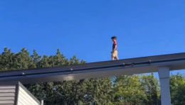 Panico al parco divertimenti: bimbo sui binari della monorotaia a 30 metri d’altezza (VIDEO)