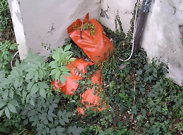 Ivrea, dal Carnevale alla discarica permanente: sotto il Ponte Vecchio ora spuntano pure i sacchi