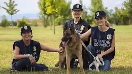 Vuoi diventare guardia zoofila OIPA? Al via i corsi gratuiti online