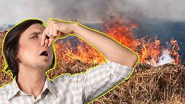 Puzza a Volpiano e San Benigno, il sindaco di Rivarolo chiarisce: "Era fieno in fiamme, non plastica"