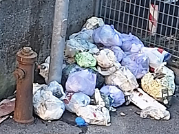 Caos rifiuti in via Rimembranza: sacchi abbandonati da settimane, un topo tra i rifiuti e cittadini multati 