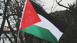 Gaza entra in Consiglio: la minoranza porta le bandiere e poi abbandona l’aula
