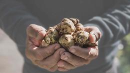 A Carignano il “Ciapinabò” diventa protagonista