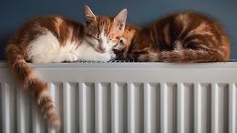 Riscaldamento a Torino: termosifoni accesi dal 15 ottobre, ecco regole, orari e limiti di temperatura