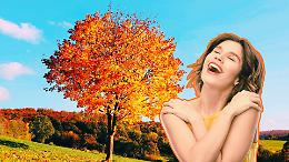 Ottobre di sole e caldo anomalo: il Piemonte si prepara a una settimana di stabilità