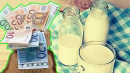 Allarme latte in Piemonte: crollano i prezzi