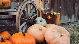 Cafasse in festa: la Sagra della Zucca conquista tutti