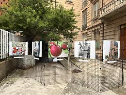 Alla Cisl la mostra “Uno scatto di legalità”: 12 fotografie raccontano l’impegno dei giovani contro le mafie