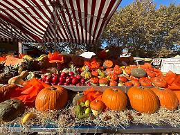 Brandizzo festeggia i 28 anni della Sagra della Zucca: due giorni di gusto e tradizione