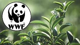 Crisi climatica e agricoltura al collasso: il WWF lancia l’allarme nella Giornata Mondiale dell’Alimentazione