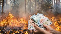 Brucia il bosco per incassare più soldi: agricoltore denunciato per incendio doloso