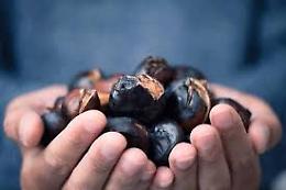 Favria accende l’autunno: la magia della Castagnata tra profumi, tradizione e comunità