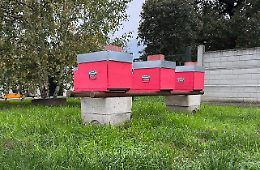 Dal ferro al miele: la rivoluzione sostenibile di ABCI Srl