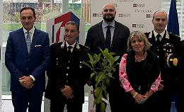 L’albero di Falcone sbarca in Piemonte: radici di legalità contro l’indifferenza