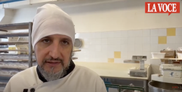 Spaccano la vetrata e rubano pure il cibo del cane: notte di paura alla panetteria
