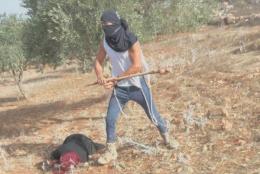 Ancora violenza in Cisgiordania: coloni israeliani assaltano contadini palestinesi durante la raccolta delle olive (VIDEO)