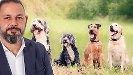 Cani liberi, cittadini prigionieri. Fratelli d’Italia chiede un’area recintata in via Nino Costa