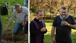 Un ulivo dalla Calabria per ricordare gli amici del quartiere Borgo Sud Est