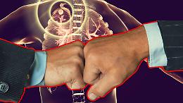 Focolaio di tubercolosi all’ex scuola Neruda, scontro politico a Torino