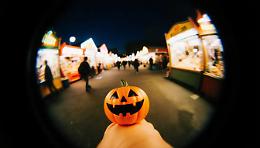 Festa di Halloween, tensione in Consiglio comunale: "Vergogna! Vergogna! Vergogna!"