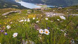 Vico Canavese un convegno su agricoltura, turismo e sostenibilità
