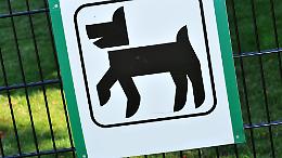 Area cani in via Nino Costa? Il Comune chiarisce, il terreno è privato