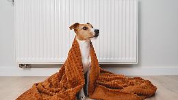 Si accendono i riscaldamenti in tutta Italia, ecco come risparmiare