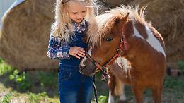 Cirié celebra la Fiera di San Martino: due giorni tra agricoltura, tradizione e gusto