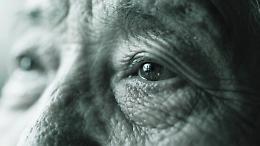 Duecento giorni senza Centro Anziani: Villa Filanda resta vuota e il Comune continua a pagare