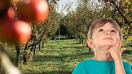 A Spinerano rinascono le mele perdute delle Valli di Lanzo