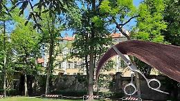 Il parco Spurgazzi si rifà il look: a Caluso ottantaquattro alberi sotto le cure del Comune