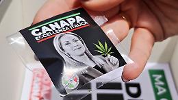Cannabis, il mondo cambia e l’Italia resta ferma: tra ipocrisie e divieti