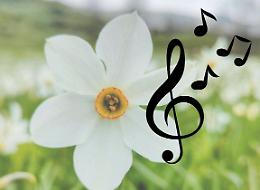 Le voci dei “Piccoli Cantori della Valle Sacra” per la prima volta nelle Valli di Lanzo 