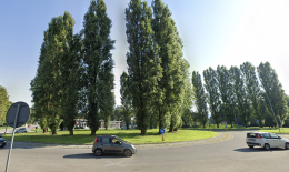 Il sindaco abbatte i pioppi della rotatoria "olivettiana" che dà il benvenuto a chi entra a Ivrea