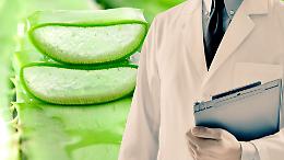 “Dottore” senza titoli e soldi spariti: dieci anni di false cure all’aloe