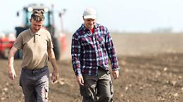 Crollano le aziende agricole in Piemonte: cinque anni di emorragia, nuovi rischi e un’agricoltura che prova a cambiare pelle