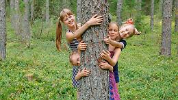 Torino celebra la Giornata nazionale degli Alberi: al Giardino Don Rinaldo bambini e Carabinieri insieme per piantare ventisette nuove specie autoctone