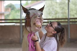 Alice Defilippi, la giovane promessa dell’equitazione italiana: a 14 anni ha un cuore grande e una determinazione senza limiti