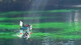 Il Po diventa verde fluo in pieno Tff: l’azione shock di Extinction Rebellion che umilia l’inerzia climatica dei governi