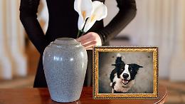 Lombardore apre alla tumulazione congiunta: le ceneri degli animali potranno essere sepolte accanto al padrone 