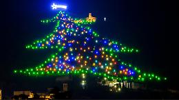 Hai mai visto un albero di Natale da 750 metri? Ecco i 5 più incredibili del pianeta