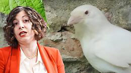 Spari a pochi metri dalle voliere: due animali muoiono all'Oasi degli Animali. Il caso arriva in Consiglio regionale