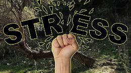 Stress? Burnout? Il bosco può essere la soluzione ai tuoi problemi